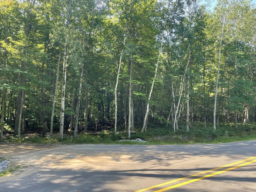 Three Wooded building sites just a short walk from your deeded - Beach Lot for sale in Mears, Michigan on Beachhouse.com