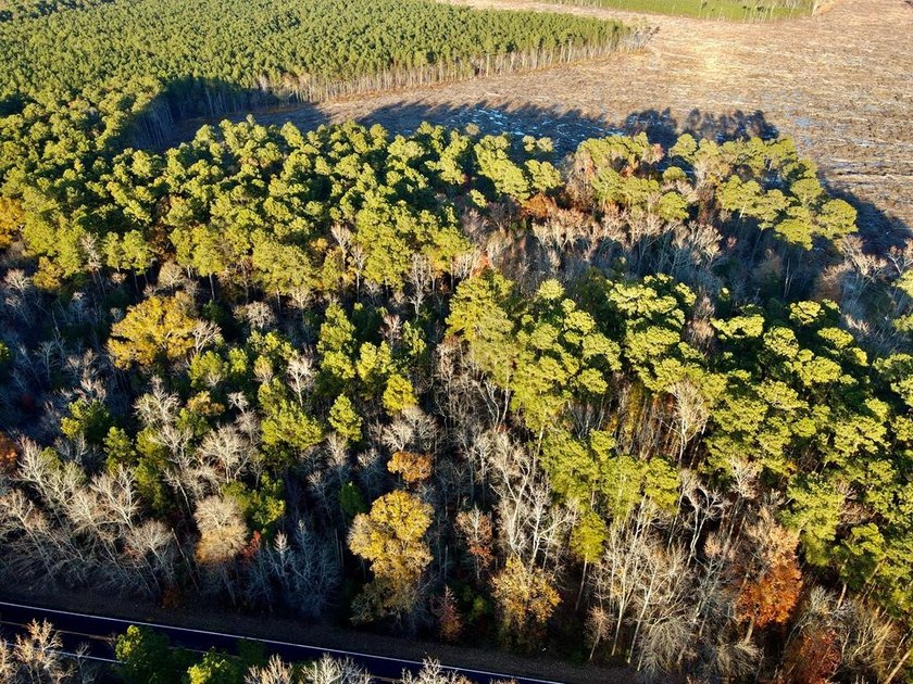 Northumberland Hwy lot: 98 - Beach Lot for sale in Reedville, Virginia on Beachhouse.com