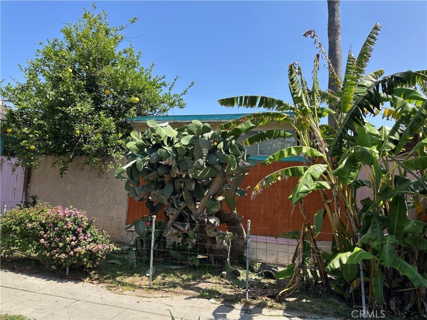 1139 Cabrillo Ave. is being sold in conjunction with 1137 - Beach Home for sale in Venice, California on Beachhouse.com