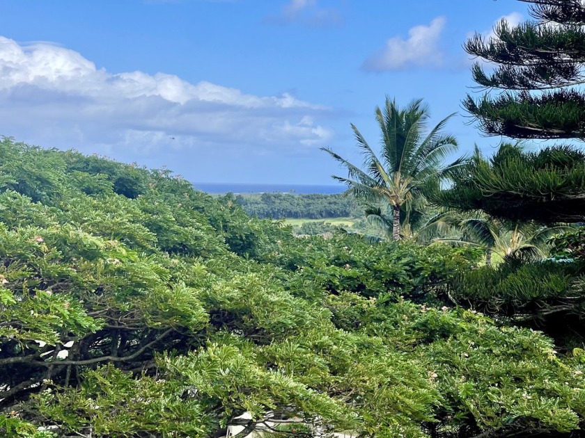 This is a leasehold property.Big News: Sun Village HOA and the - Beach Condo for sale in Lihue, Hawaii on Beachhouse.com