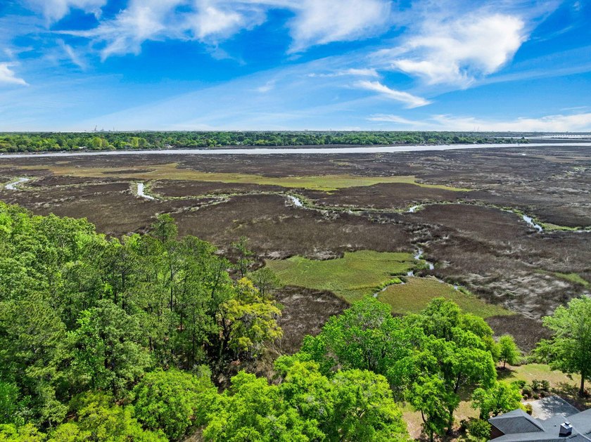 Curated gardens welcome you at the drive -- something always in - Beach Home for sale in Charleston, South Carolina on Beachhouse.com