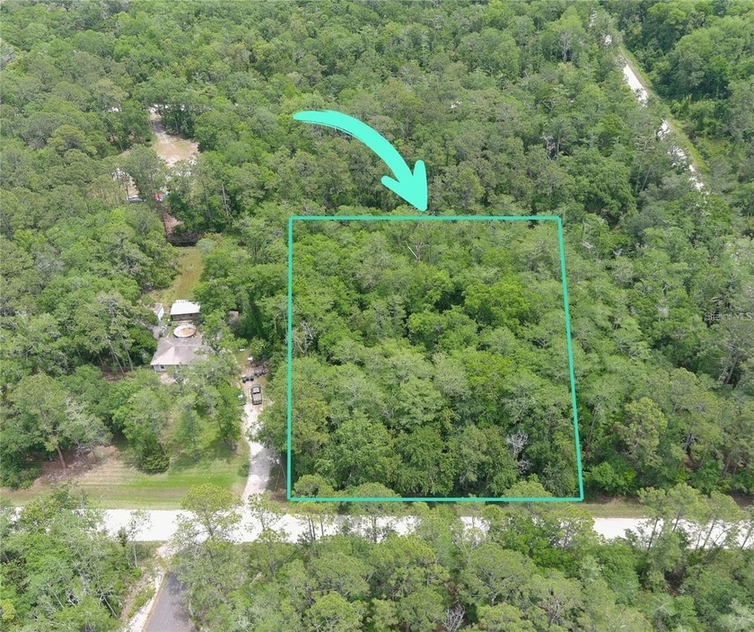 Discover a rare opportunity to own over an acre of untouched - Beach Lot for sale in Bunnell, Florida on Beachhouse.com