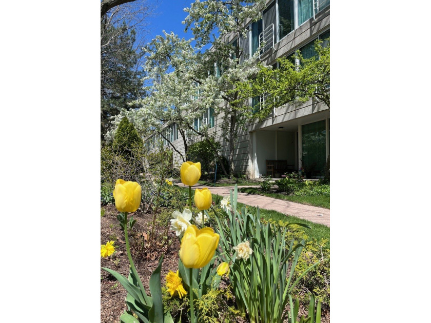Exceptional North Pointe townhouse with sweeping views of the - Beach Townhome/Townhouse for sale in Evanston, Illinois on Beachhouse.com