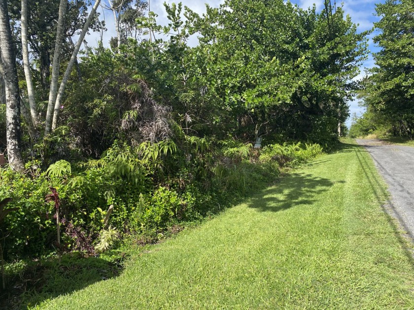 Just a block away from the ocean on Kaloli point! This lot and - Beach Lot for sale in Keaau, Hawaii on Beachhouse.com