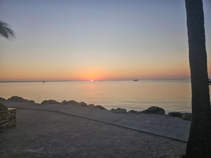 Tropical Bayfront Condo - Futura Yacht Club, Islamorada. Welcome - Beach Condo for sale in Plantation Key, Florida on Beachhouse.com
