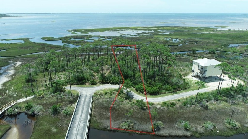 Your private island retreat is here.  Enter Marnie Island - Beach Lot for sale in Port St Joe, Florida on Beachhouse.com