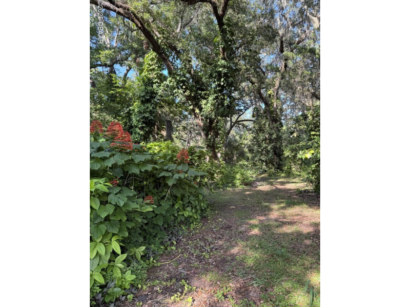 BUILD YOUR DREAM HOME on this secluded slice of paradise in the - Beach Lot for sale in Port Orange, Florida on Beachhouse.com