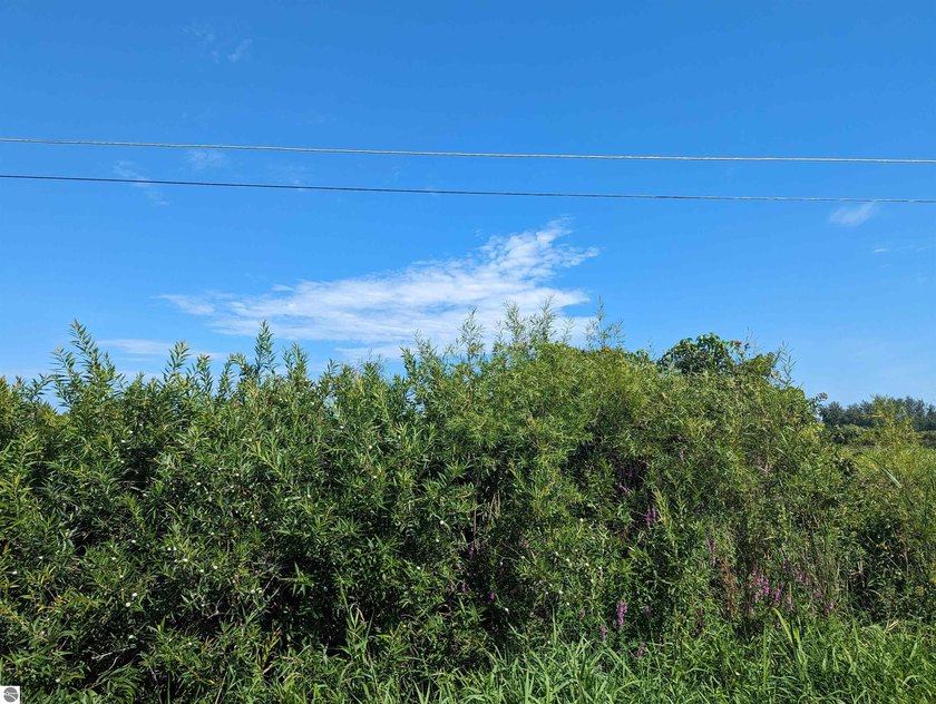 Lot 3 in the Southcourt Estates #1 Subdivision. Potential - Beach Lot for sale in Au Gres, Michigan on Beachhouse.com