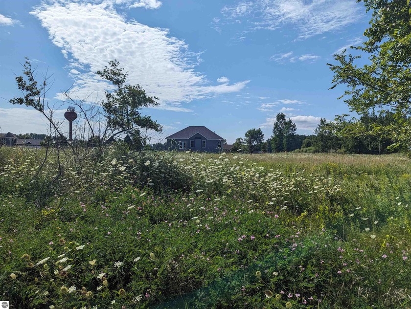 Lot 17 in the Southcourt Estates #1 Subdivision. Potential half - Beach Lot for sale in Au Gres, Michigan on Beachhouse.com