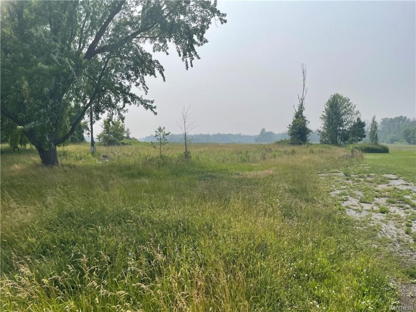 Just a one minute drive from Lake Ontario, this lot is ready for - Beach Lot for sale in Lyndonville, New York on Beachhouse.com