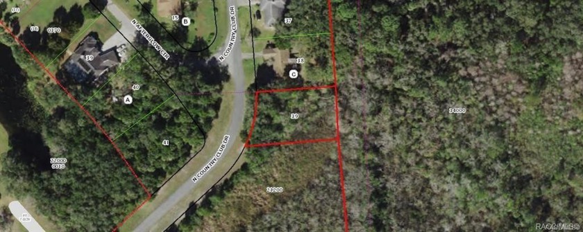 Building lot right accross the street from the Plantation Golf - Beach Lot for sale in Crystal River, Florida on Beachhouse.com