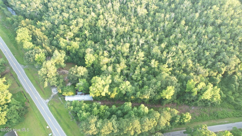 Investor's Dream on Mackeys Creek - 17.18 Acres with Private - Beach Home for sale in Roper, North Carolina on Beachhouse.com