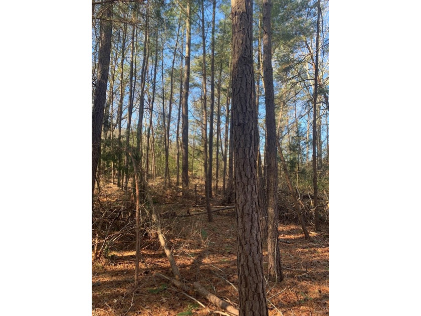 2.64 acre lot located in the subdivision of Sampson's Wharf - Beach Lot for sale in Heathsville, Virginia on Beachhouse.com