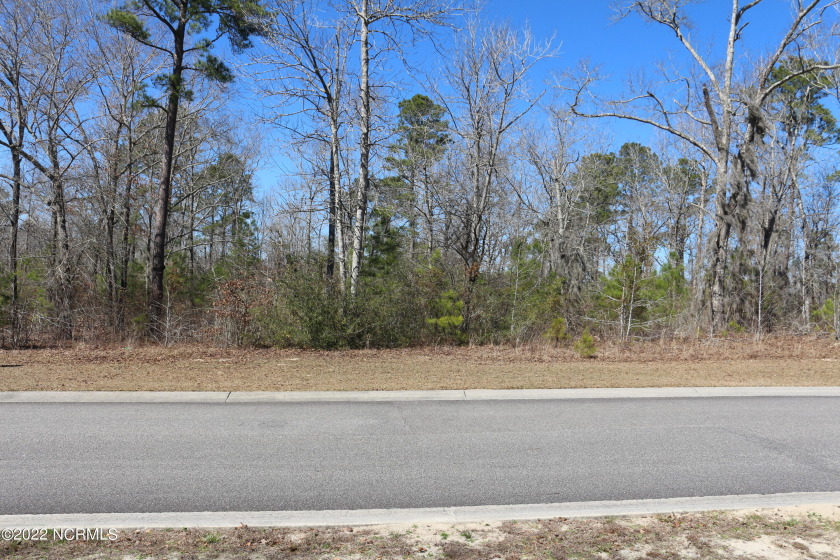 Build your dream home on this gorgeous, elevated lot in the - Beach Lot for sale in Leland, North Carolina on Beachhouse.com