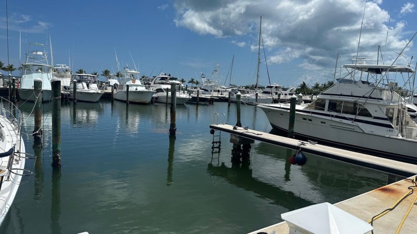 Exceptional opportunity to own one of the few 50' x 22' - Beach Lot for sale in Stock Island, Florida on Beachhouse.com