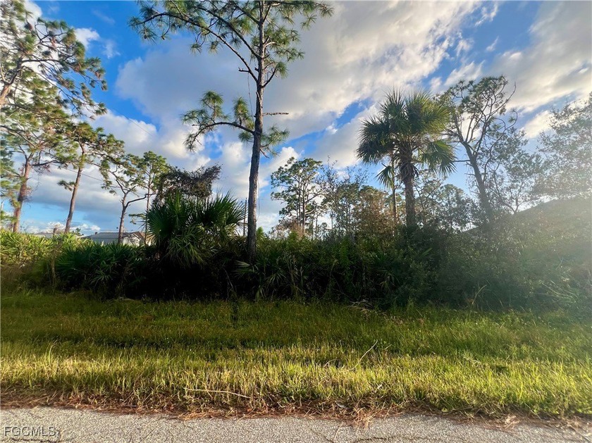 Located in a developing neighborhood, and proximity to local - Beach Lot for sale in Port Charlotte, Florida on Beachhouse.com