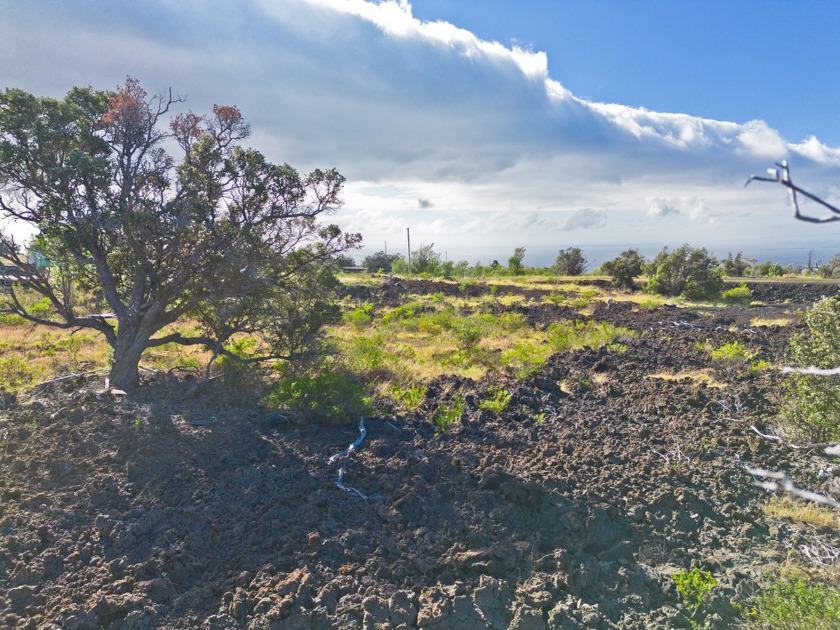 Welcome to Hawaiian Ocean View Estates Ranchos! 3-acre lot - Beach Acreage for sale in Ocean View, Hawaii on Beachhouse.com