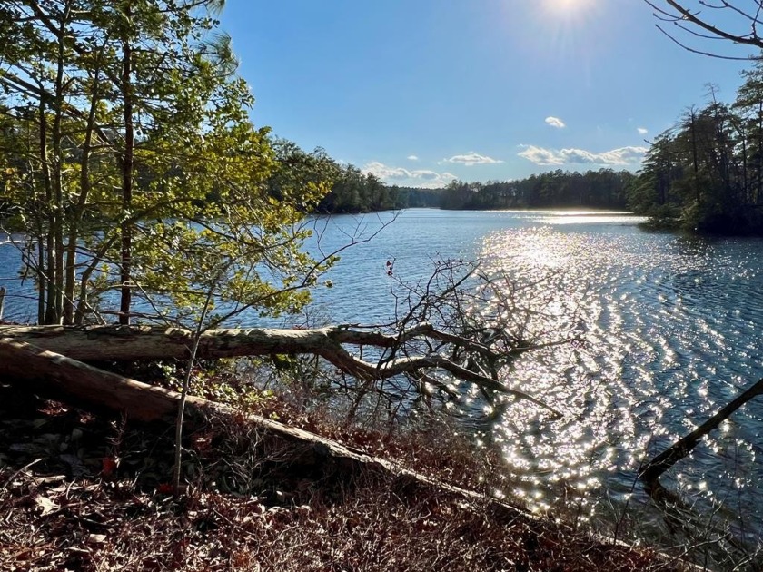 RARE Waterfront POINT parcel with lots of frontage and panoramic - Beach Lot for sale in Heathsville, Virginia on Beachhouse.com