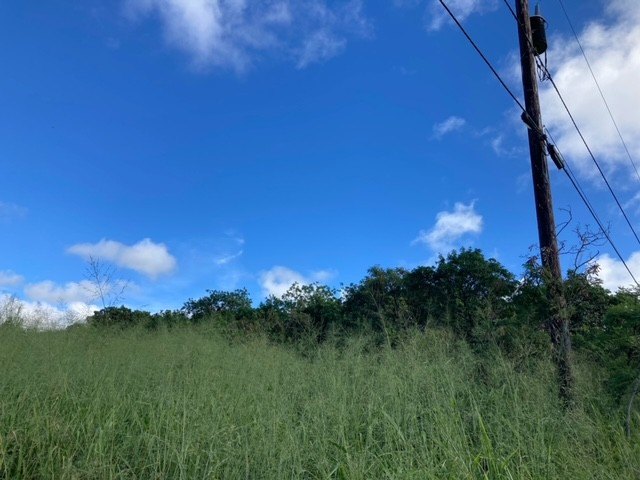 Green Sand Subdivision  - completely graded in the past, this12 - Beach Lot for sale in Naalehu, Hawaii on Beachhouse.com