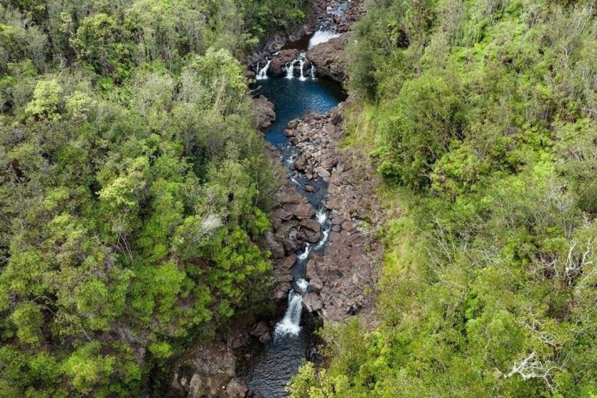 Extraordinary opportunity  to own 337 profound acres with - Beach Acreage for sale in Papaikou, Hawaii on Beachhouse.com