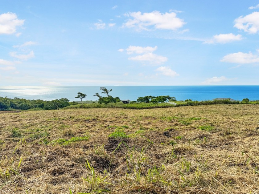 Welcome to Ki'ilae Farms, an exclusive gated community in - Beach Acreage for sale in Captain Cook, Hawaii on Beachhouse.com