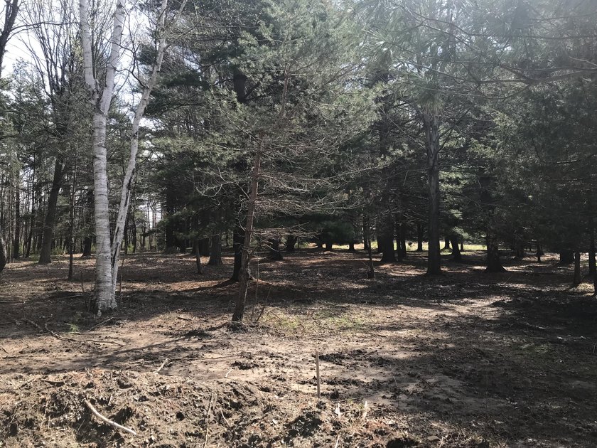 Just under 1.25acres this wooded lot is the perfect setting for - Beach Lot for sale in South Haven, Michigan on Beachhouse.com