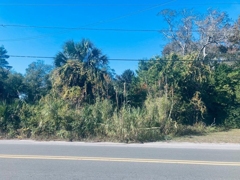 Rare opportunity to buy a commercial lot facing Tallahassee - Beach Commercial for sale in Carabelle, Florida on Beachhouse.com