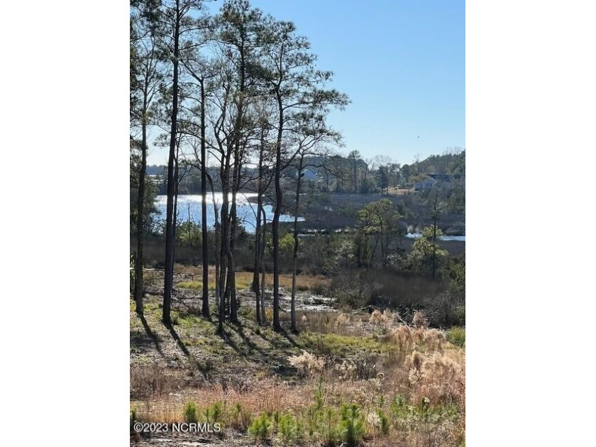 This is a uniquely good, one-of-a-kind homesite with the best - Beach Lot for sale in Holly Ridge, North Carolina on Beachhouse.com