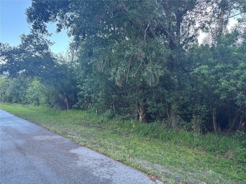 Fantastic opportunity to own a vacant lot in the heart of Port - Beach Lot for sale in Port Charlotte, Florida on Beachhouse.com