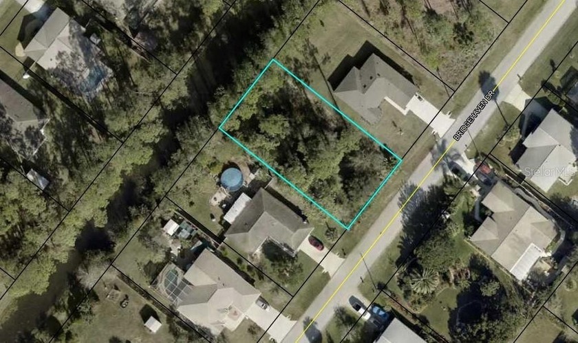 High and dry ,Perfect Buildable lot on a fresh water canal. 80 - Beach Lot for sale in Palm Coast, Florida on Beachhouse.com