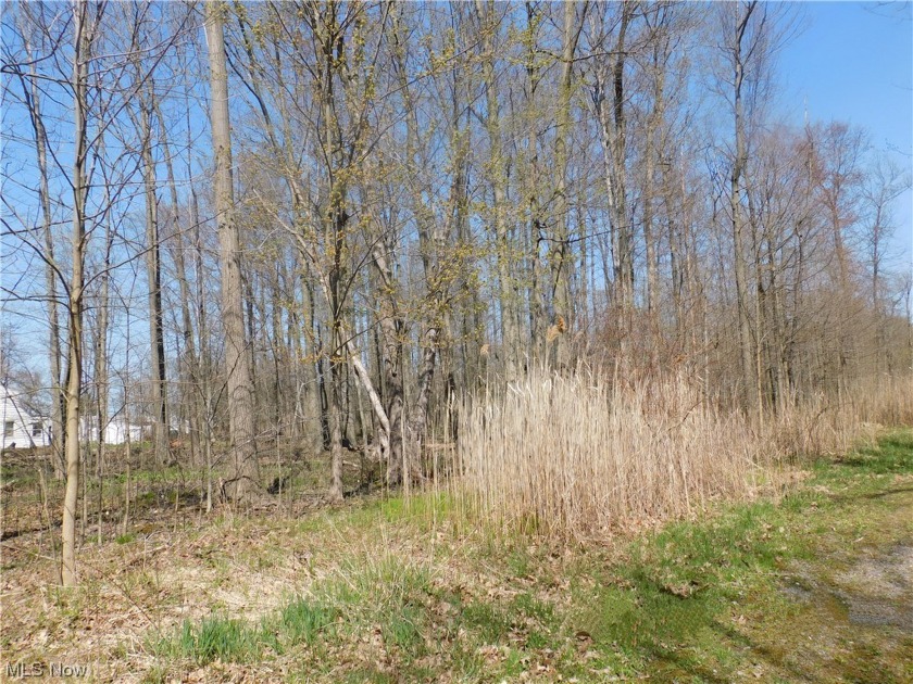 Welcome to an exceptional opportunity to own a collection of - Beach Lot for sale in Geneva, Ohio on Beachhouse.com