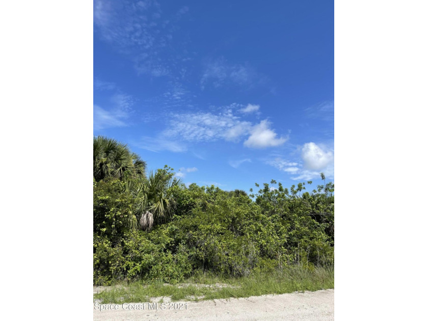 This lot is .24 Ac and is  located in the area locally called - Beach Lot for sale in Palm Bay, Florida on Beachhouse.com