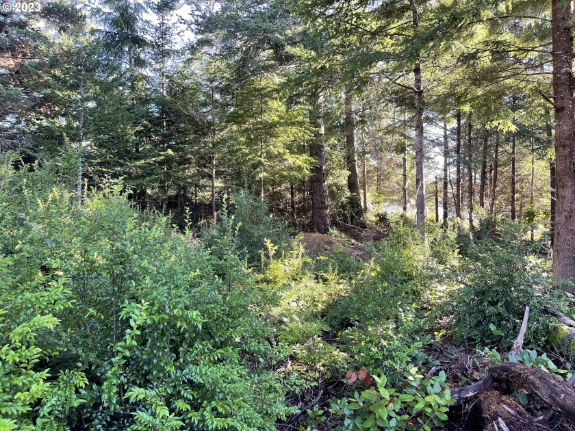 This wooded lot is waiting for your coastal dream home. Tucked - Beach Lot for sale in Bandon, Oregon on Beachhouse.com