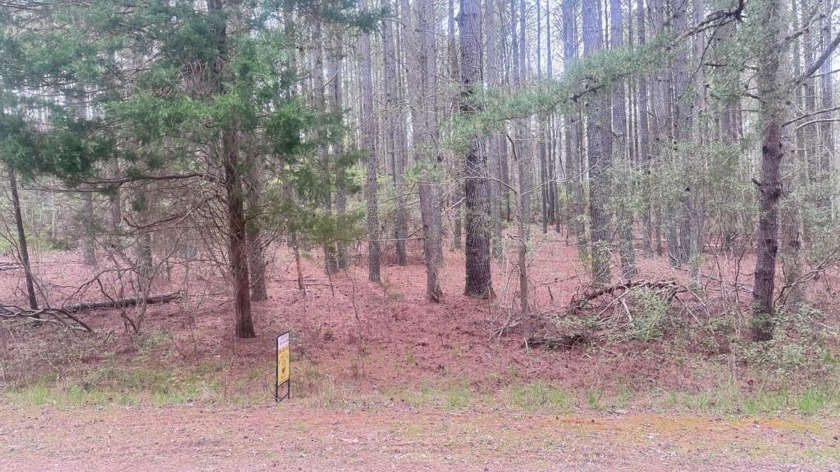 Looking to design the home of your dreams? Seize the opportunity - Beach Lot for sale in Heathsville, Virginia on Beachhouse.com