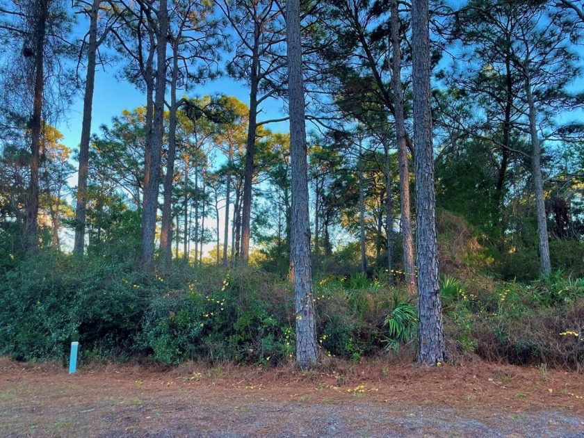Build your home on the beautiful 15th fairway on St. James Bay - Beach Lot for sale in Carabelle, Florida on Beachhouse.com