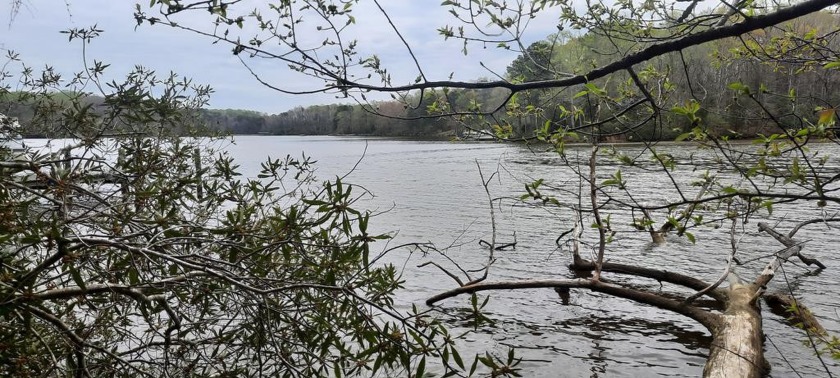 Enjoy everything that the Coan River has to offer! The 4.6+/- - Beach Lot for sale in Heathsville, Virginia on Beachhouse.com