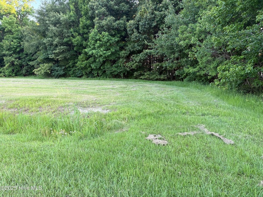 Desirable neighborhood and large waterfront lot. Wooded, so you - Beach Lot for sale in Elizabeth City, North Carolina on Beachhouse.com