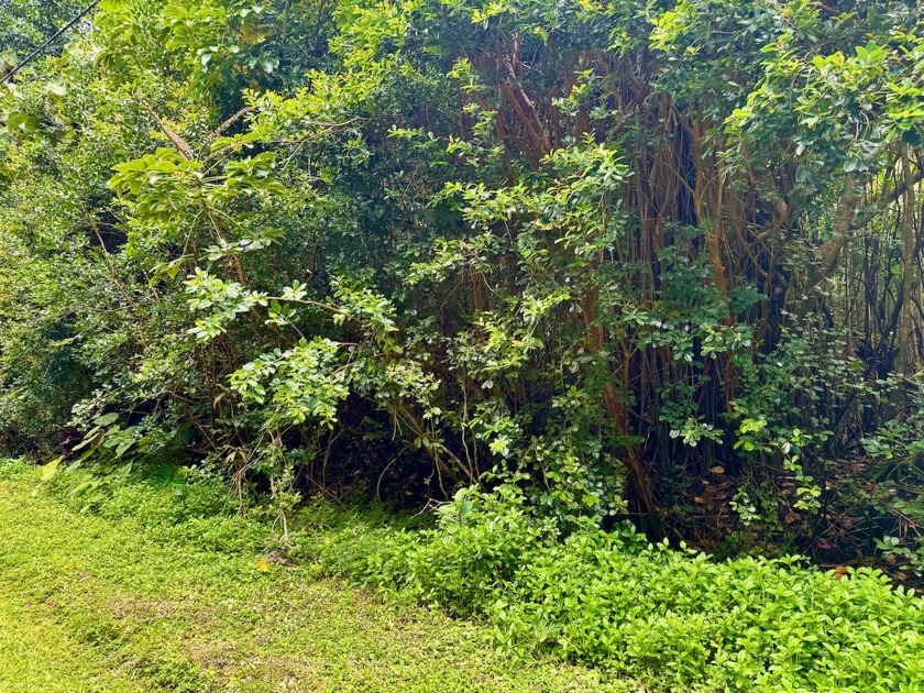 This lot is ready for building your dream home, conveniently - Beach Lot for sale in Pahoa, Hawaii on Beachhouse.com