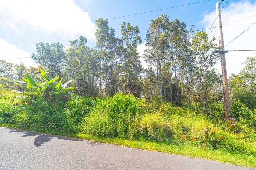 Build your dream home on this gorgeous front lot lush with - Beach Lot for sale in Volcano, Hawaii on Beachhouse.com