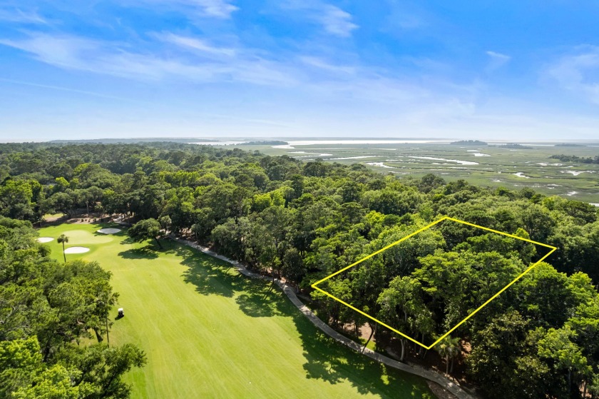 Build the home you've always wanted on this large, half-acre - Beach Lot for sale in Seabrook Island, South Carolina on Beachhouse.com