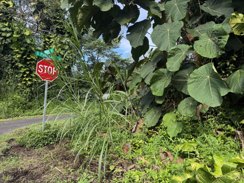 This corner lot is situated at the intersection of S Opelu St - Beach Lot for sale in Pahoa, Hawaii on Beachhouse.com