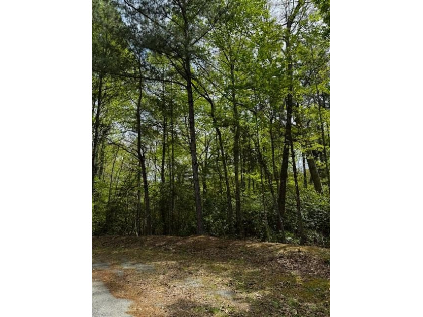 1.31 Acre lot located in Mallard Bay on a cul de sacmunity - Beach Lot for sale in Heathsville, Virginia on Beachhouse.com