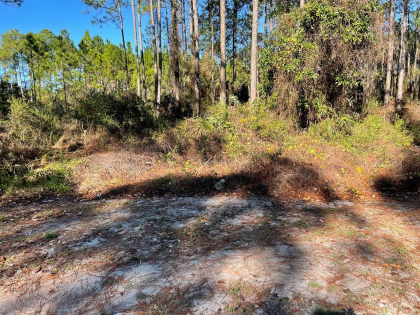Build your home on the beautiful 12th fairway on St. James Bay - Beach Lot for sale in Carabelle, Florida on Beachhouse.com