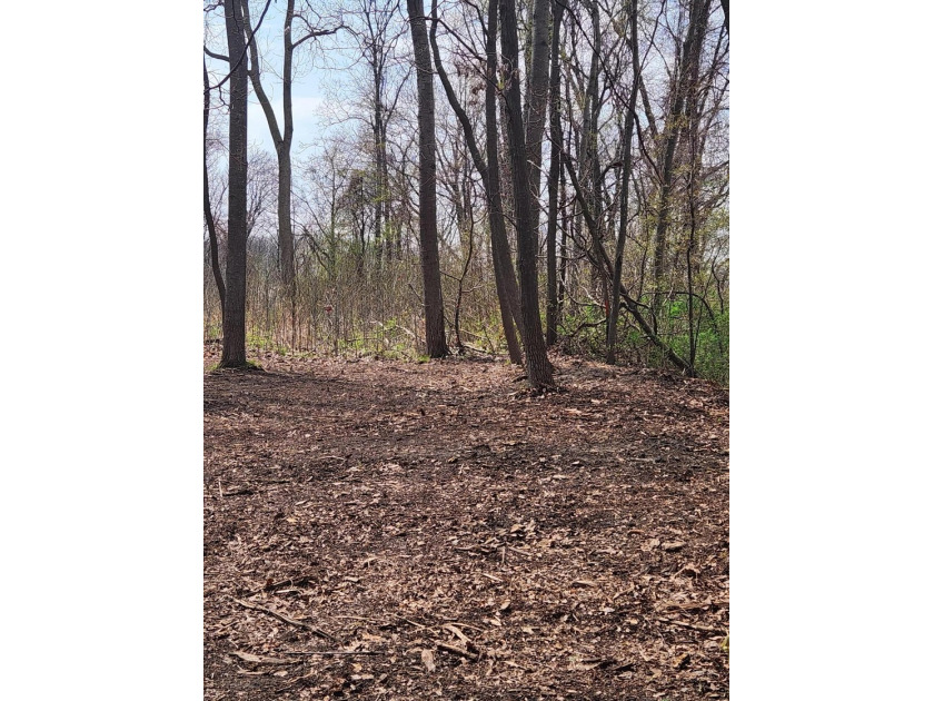 Buildable/Cleared Lot in Summerhill Cottage Association is ready - Beach Lot for sale in New Buffalo, Michigan on Beachhouse.com