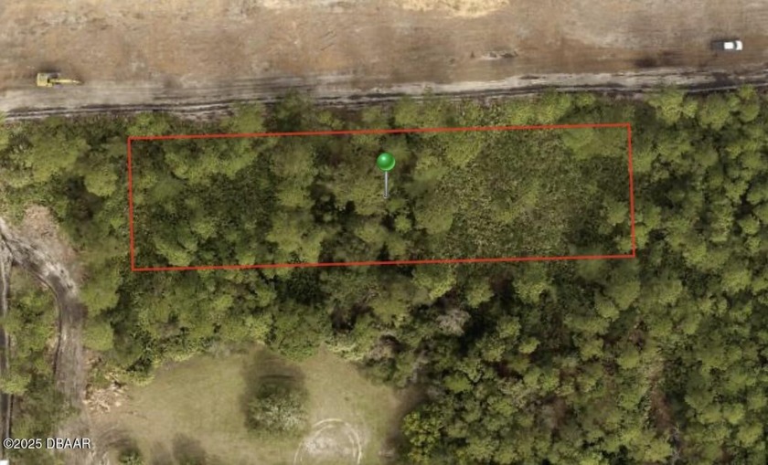 71 acre of high and dry land. In the center of Ridgehaven - Beach Lot for sale in Ormond Beach, Florida on Beachhouse.com