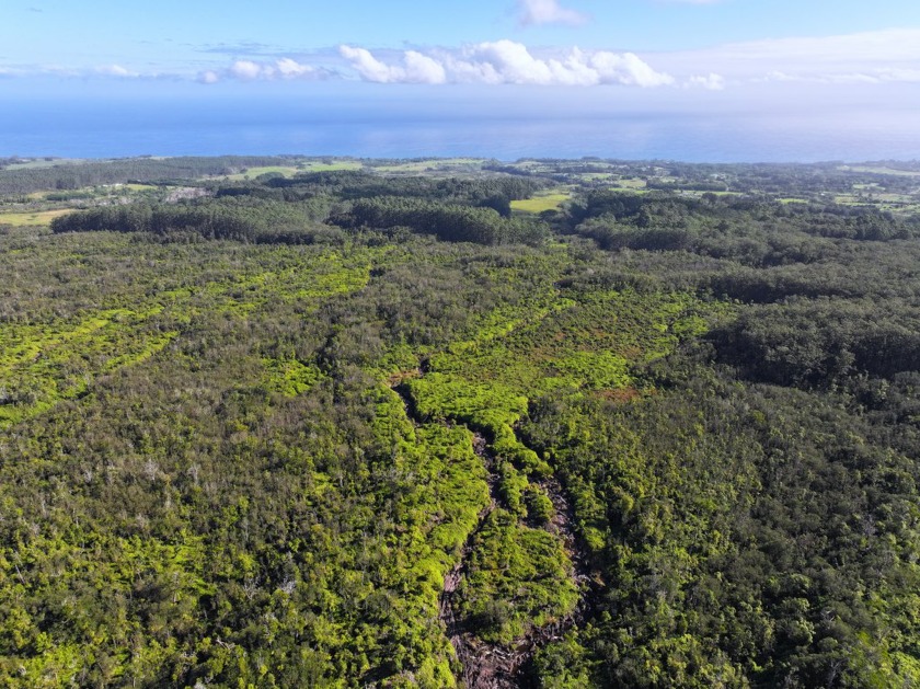 Discover this extraordinary one of a kind 3000+ acre nature - Beach Acreage for sale in Hakalau, Hawaii on Beachhouse.com