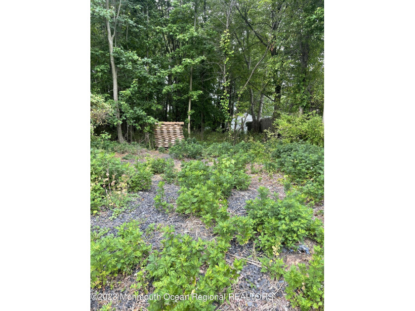 Build your own custom home on this sizeable lot in Middletown on - Beach Lot for sale in Belford, New Jersey on Beachhouse.com