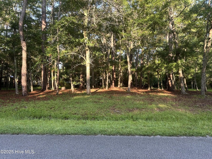 Residential undeveloped lot for sale in one of Ocean Isle - Beach Lot for sale in Ocean Isle Beach, North Carolina on Beachhouse.com