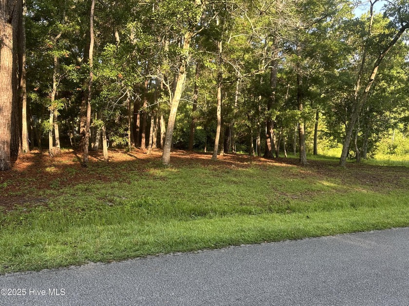 Residential undeveloped lot for sale in one of Ocean Isle - Beach Lot for sale in Ocean Isle Beach, North Carolina on Beachhouse.com