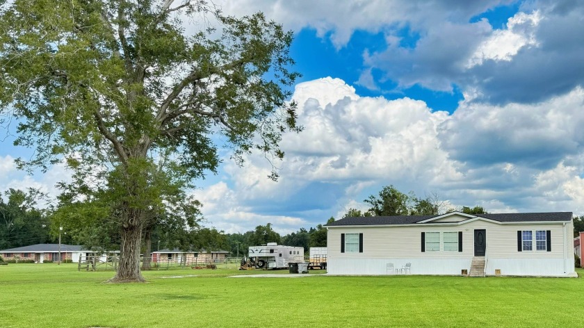 It's time to find a loving new home for your horse or horses - Beach Home for sale in Chauvin, Louisiana on Beachhouse.com